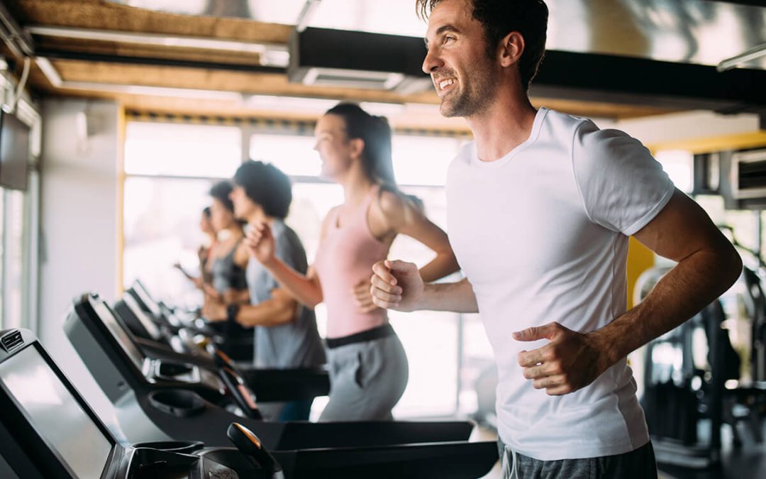 Understanding Exercise